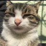 Philip's profile picture