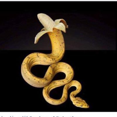TariqAlqemzi's profile picture