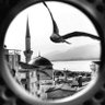 Gün Ola Harman Ola 🇹🇷's profile picture