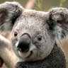Steve Jones profil fotoğrafı