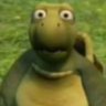 Pájin's profile picture