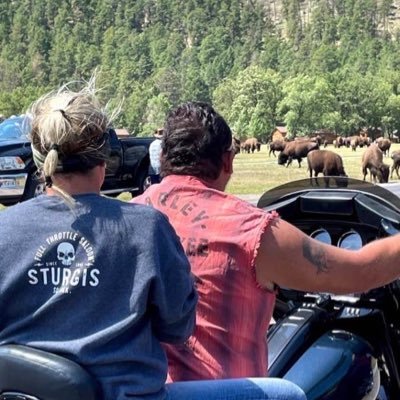 HDcoupleXXX69's profile picture