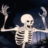 ivan's profile picture