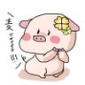 麦きゅん❁¨̮ profil fotoğrafı