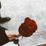 Profilbild von ناريمان العموش