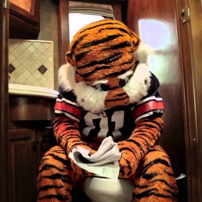 Drunk Aubie's profile picture