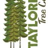 TayloredTreeCare's profile picture