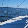 Kekee Hawses ⛵🏝🌊🏖🦩🐬 ¸.•*¨*✮ profil fotoğrafı