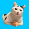 SÆPUL's profile picture