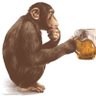 Drunk Monkey profil fotoğrafı