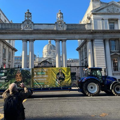 Jamie Kealy's profile picture
