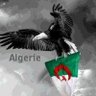 Фото профиля Mahdi Bouzid