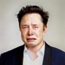 Melon Husk's profile picture