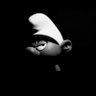 Profilbild von Pep