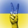 Konstantin Hofer 🇺🇦🇦🇹 的头像