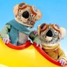 Kenny koala's profile picture