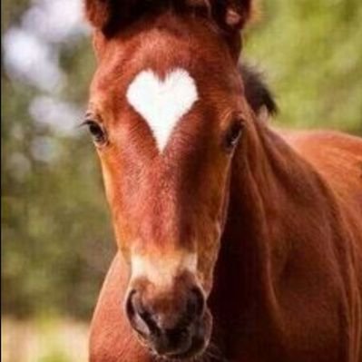 hy745eterhity's profile picture