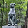 ぽんこつ提督 profil fotoğrafı