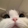 Bwagster's profile picture