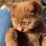 Profilbild von Marc