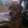 Profilbild von Carlos Mtz2