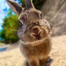 🐰yuuuuu🌙.*·̩͙ profil fotoğrafı