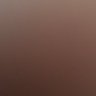 RashedArashed's profile picture
