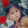 Фото профиля علاء الدين الحسن