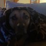molly finn profil fotoğrafı
