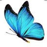 Kelebek etkisi's profile picture