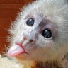 mittelu ๐'s profile picture