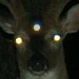 Suspicious Deer profil fotoğrafı
