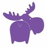 Purple Moose Sock Company 🇨🇦's profile picture