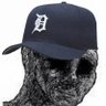 Detroit Tigers memes's profile picture
