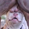 YouEnjoyMyStonk profil fotoğrafı