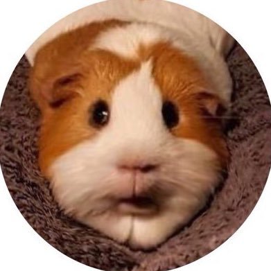 꽉낑겨 !!'s profile picture