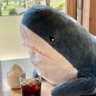 ぶろ〜はい profil fotoğrafı