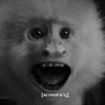 премьер-винистр profil fotoğrafı