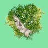 Ahlawyah's profile picture