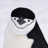 Yu's profile picture