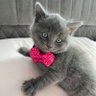Oğuzhan's profile picture