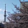 はいすもーる's profile picture
