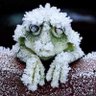Petronilla de Midia profil fotoğrafı