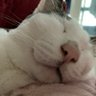 えみ profil fotoğrafı