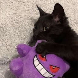psyyyxl's profile picture