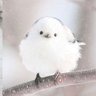 Profilbild von ゆき