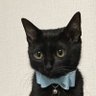 taka💙 profil fotoğrafı