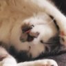 Profilbild von timmy two