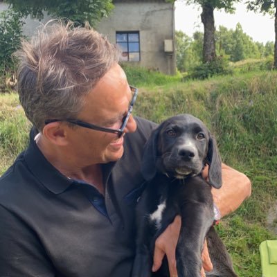 Julien Courbet's profile picture