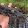 Profilbild von Gatornrl 15